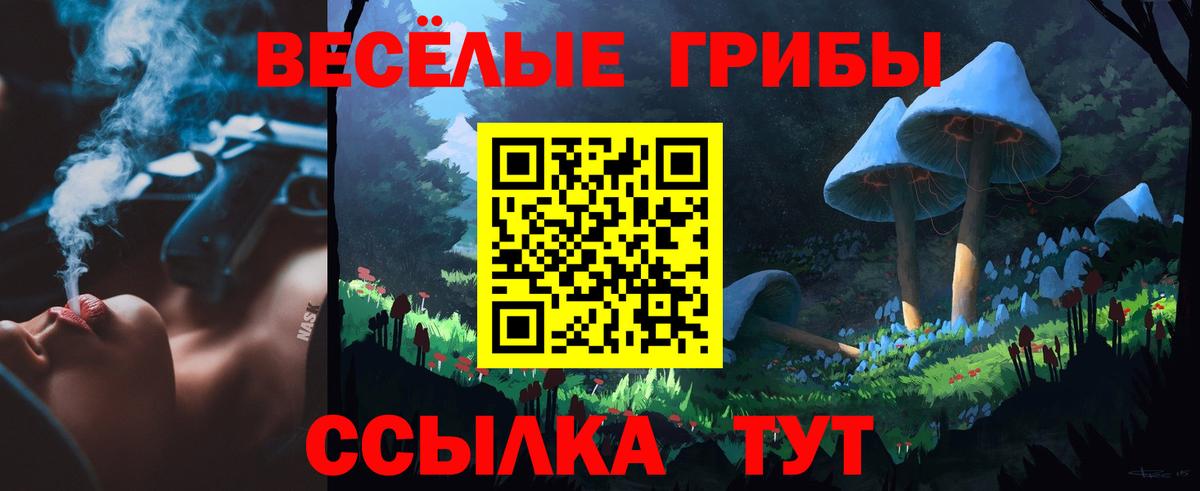 Псилоцибиновые грибы Cubensis  Псилоцибиновые грибы Psilocybe  Кольчугино  как найти закладки  Вход с VPN 